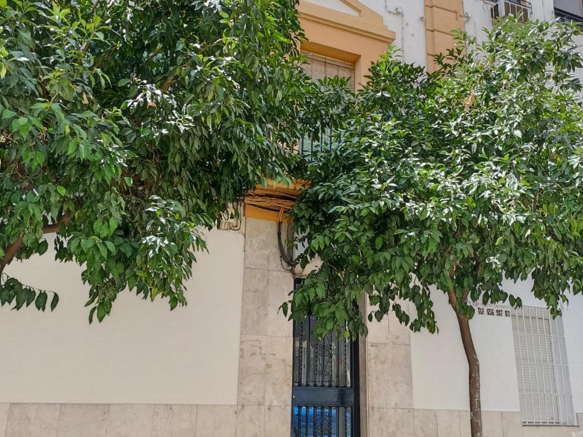 Modernos Apartamentos En Ciudad Jardin Córdoba Kültér fotó